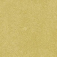 3259 Mustard Fresco